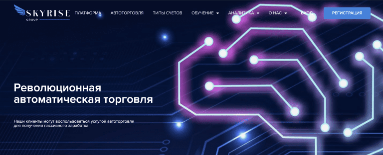 Skyrisegroup: отзывы! Как вернуть деньги от мошенников